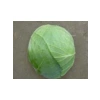 Beyaz Lahana Tohumu - Aksel 10 gr