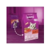 Biftekli ve Havuçlu Yetişkin Kedi Maması, 3.8 Kg