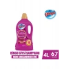 Bingo Giysi Şampuanı 2ın1 Renk Canlandırıcı Etki 4L