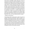Biomortem - Serkan Karaismailoğlu