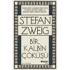 Bir Kalbin Çöküşü - Stefan Zweig