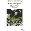 Bir Kırlangıcın Daha Var - Bir Kırlangıcın Daha Var