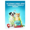 Bitkisel Antibiyotik Tablet, 2 Adet, 4 Tablet