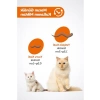 Biyotin ve Taurin İçeren Kedi Maltı, 100 gr