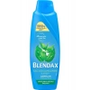 Blendax Isırgan Özlü Şampuan 500 ml Dökülmeye Eğilimli Saçlar İçin