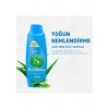 Blendax Yoğun Nemlendirme Aloe Vera Özlü Şampuan 500 ml Kuru Saçlar İçin