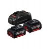 Bosch 2X18V 5.0 AH Akü + Şarj Cihazı