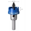 Bosch Expert 31 mm Elmaslı Inox Panç Adaptörlü 2608901414