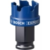 Bosch Expert Sheet Metal Delik Açma Testeresi 25 x 5 mm
