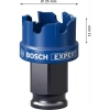 Bosch Expert Sheet Metal Delik Açma Testeresi 25 x 5 mm