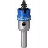Bosch Expert Tct Elmas Uçlu Panç 22 mm