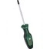 Bosch Tornavida Torx Tx 25 x 100 mm