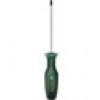 Bosch Tornavida Torx TX30 x 125 mm
