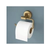 Boyalı Fırçalanmış Pirinç Tuvalet Kağıdı Tutucu