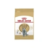British Kedi İçin Kuru Mama, Yetişkin, 2 Kg