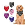Büyük Boy Köpek Boyun Tasması - Siyah