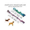 Büyük Boy Köpek Halat Oyuncağı Seti, 2’li, Diş Kaşıma Eğitimi için