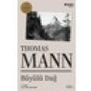 Büyülü Dağ : 2 Cilt - Thomas Mann