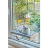 Cama Yapışan Kedi Yatağı Rahat ve Pratik Kullanım
