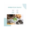 Catnip Kedi Otu, 230 ml, 20 Gram, Asorti Seçenek