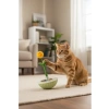 Catnip Tumbler Kedi Oyuncağı, Cıngıraklı ve Otomatik Hareketli
