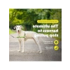 Çekmesiz Elma Yeşili/Gri Köpek Koşumu, Medium/Large Boy
