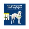 Çekmesiz Elma Yeşili/Gri Köpek Koşumu, Medium/Large Boy