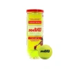 Champ Extra Duty Tennis Balls