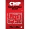 Chp Nasıl Iktidar Olur? - Fikret Bila