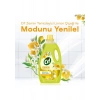 Cif Zemin Temizleyici Limon Çiçeği 2500 ml