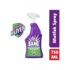 Cillit Bang Mutfak Temizleyici Yağ ve Kir Sökücü Sprey 750ml