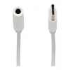 DARK DK-AC-U31XAU Type C - 3.5mm AUX Ses Dönüştürücü Kablosu