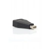 Dark Mini Display Port - Display Port (Dişi), Çoklu Ekran Desteği, Görüntü Dönüştürücü(DK-HD-AMDPXDP)