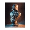 Darth Vader Figürü, Star Wars Koleksiyonu için
