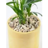Dekoratif Dolomit Çakıl Taşı, 1-3 cm, 1 kg