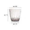 Dekoratif şeffaf orkide saksısı, modern tasarım, 3 litre hacimli, sağlam yapı