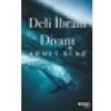 Deli İbram Divanı - Ahmet Büke