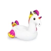 Dev Pegasus Binici, 224m x 164m Boyutunda