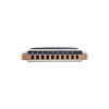 Diatonik Harmonica, G Anahtarı ile
