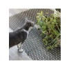 Dikenli Kedi Kovucu Paspası, Bahçe Bitkileri İçin Engelleyici