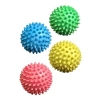 Dikenli Top Popit Eğitici Kedi ve Köpek Oyuncağı
