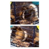 Doğal Ahşap Çiğneme Oyuncağı, Hamster ve Tavşanlar İçin