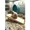 Doğal Ahşap Hamster Tahtıravalli Oyuncağı, 20x7 cm Boyutunda Eğlenceli