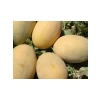 Doğal Kavun Tohumu - Ananas Çeşidi