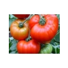 Doğal Marmande Domates Tohumu