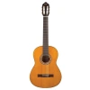 Doğal Mat Finish ile 4/4 Ölçüsünde Klasik Gitar, Sitka Kapak