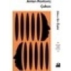 Doğan Kitap Sıkıcı Bir Öykü - Anton Pavloviç Çehov
