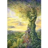 Doğanın Aşkı Temalı 1000 Parça Yüksek Zorluk Seviyesinde Puzzle