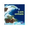 Domestos Tuvalet Bloğu Çam Ormanı 5Li Güç 250 G