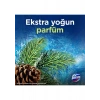 Domestos Tuvalet Bloğu Çam Ormanı 5Li Güç 250 G